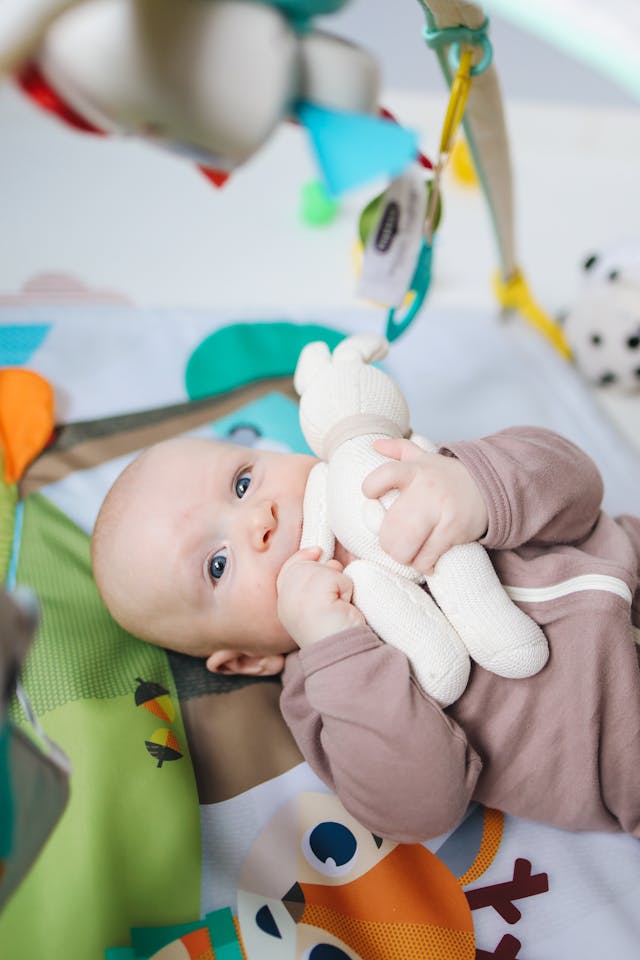 Peluches et Doudous :en Coton Bio  le Meilleur Ami de Bébé pour des Nuits Douces